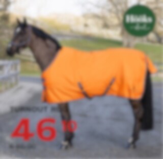 Luxury Sports Shop - Top quality Horse and Rider supplies