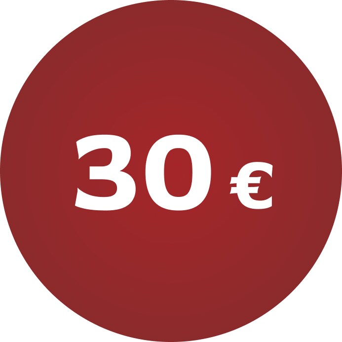 Christmas gifts under 30 €