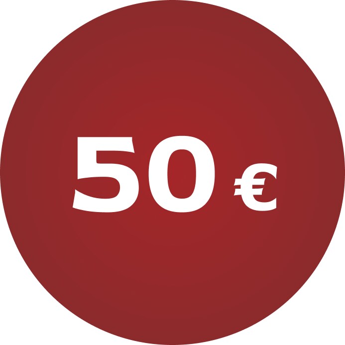 Christmas gifts under 50 €