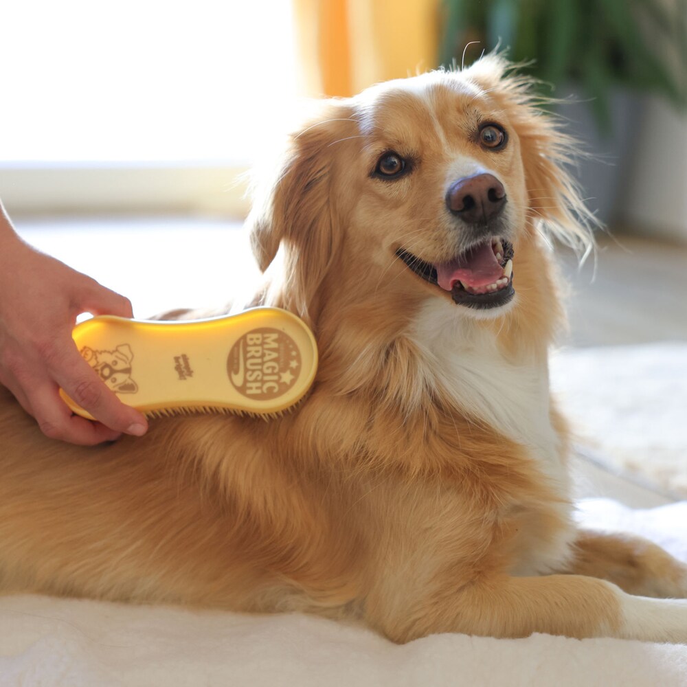 Rubber curry comb Dog  Magic Brush