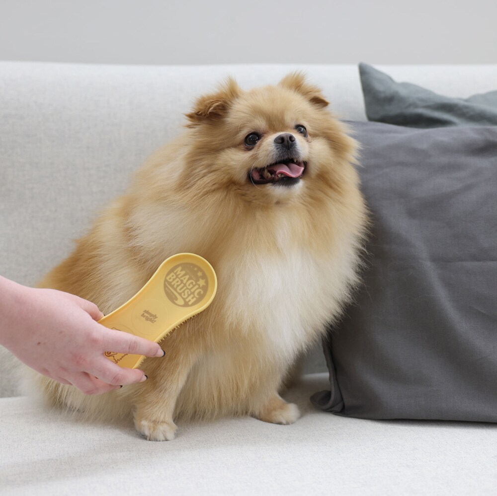 Rubber curry comb Dog  Magic Brush