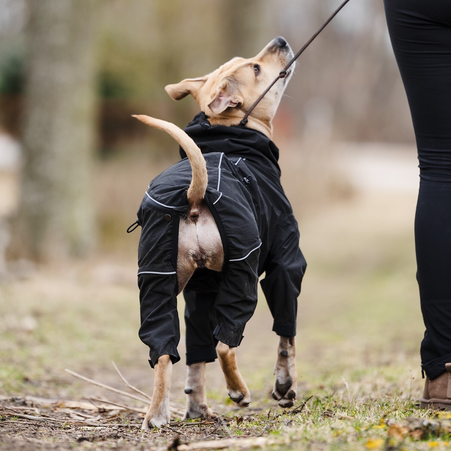 Dog overall  Bellona traxx®