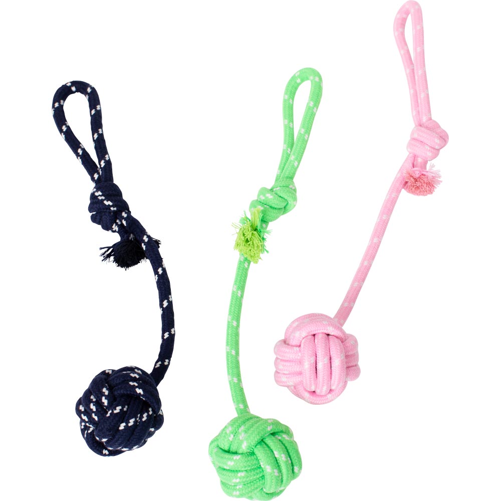 Buy Live Bait Zip: Bridle Needle, Hook Harness and Zip Tie in One Online at  desertcartBelize
