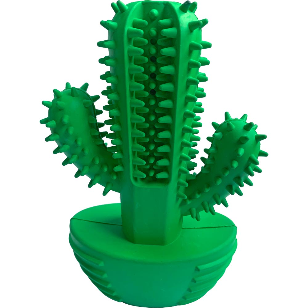 Dog toy  Cactus Kayoba