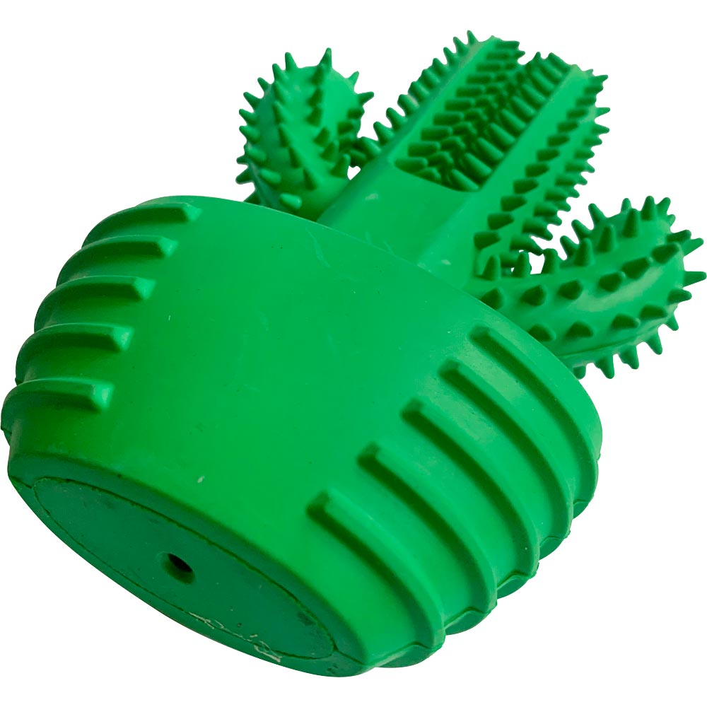 Dog toy  Cactus Kayoba