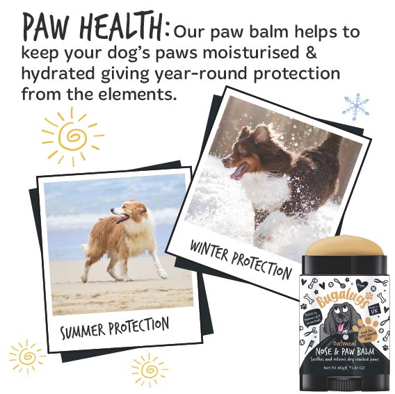 Paw creme  Nose & Paw Balm Bugalugs