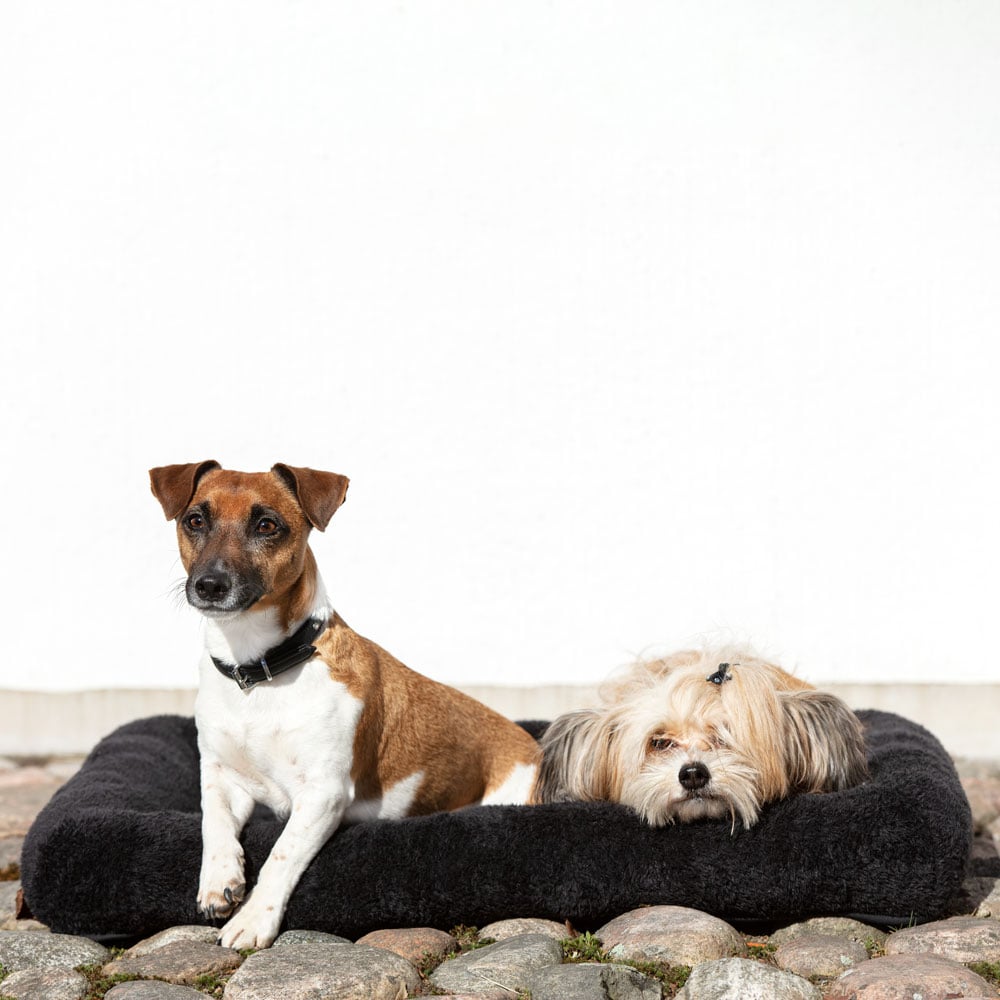 Dog mattress  LUX traxx®