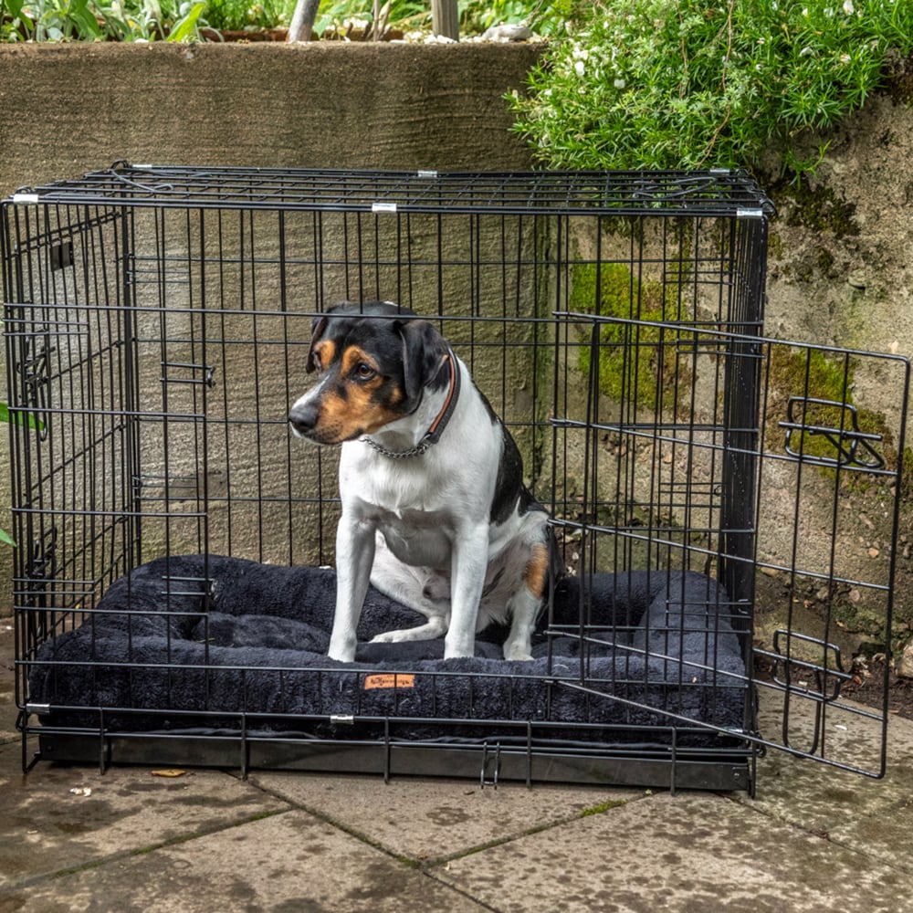 Dog cage  Bosse traxx®