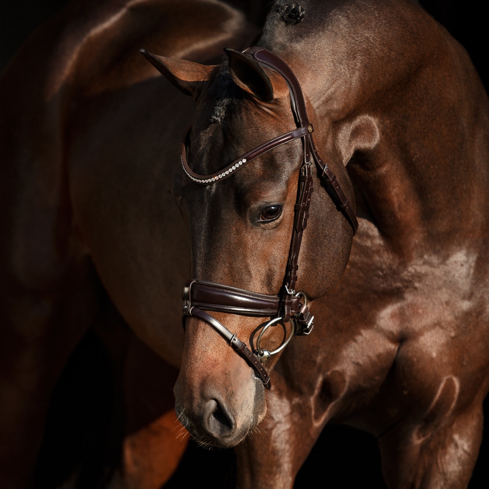 Combined noseband bridle  Fondi JH Collection®