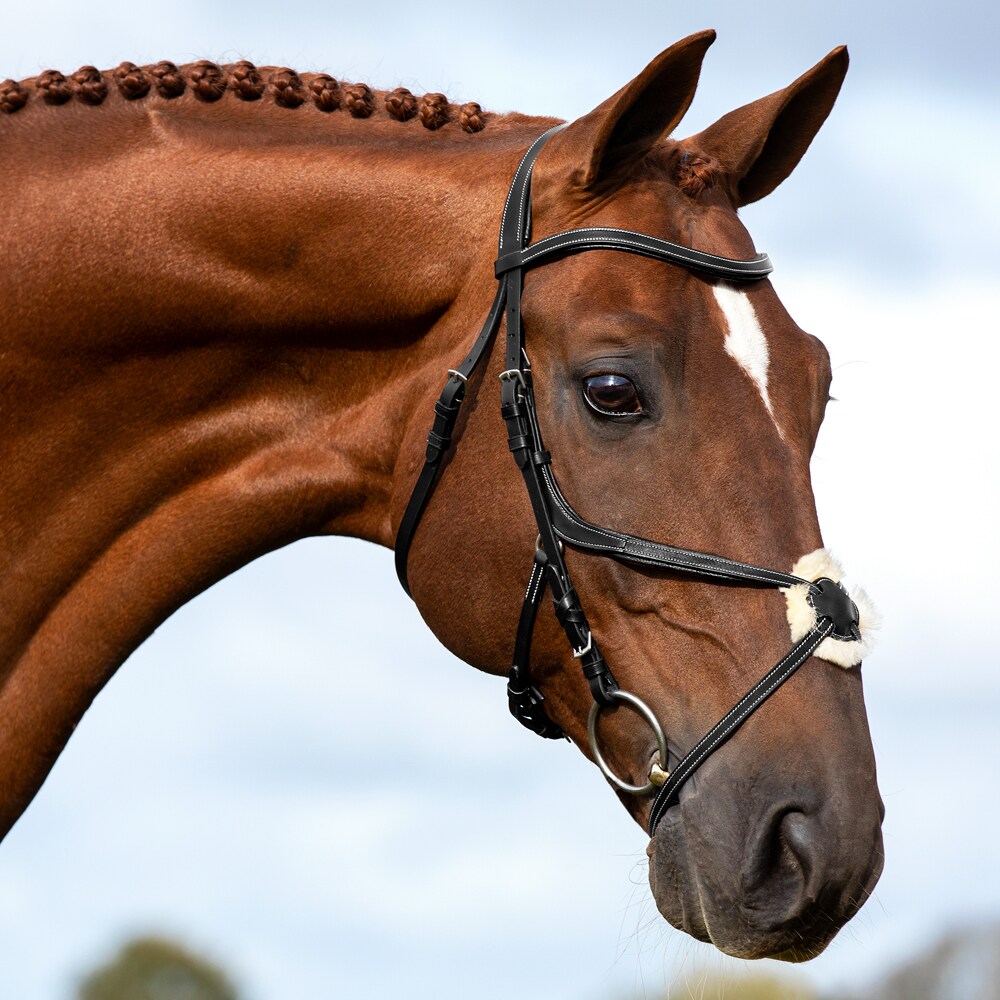 Grackle bridle  Harlow Fairfield®