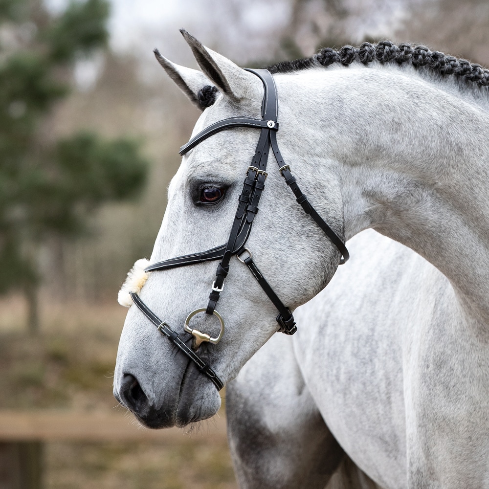 Grackle bridle  Harlow Fairfield®