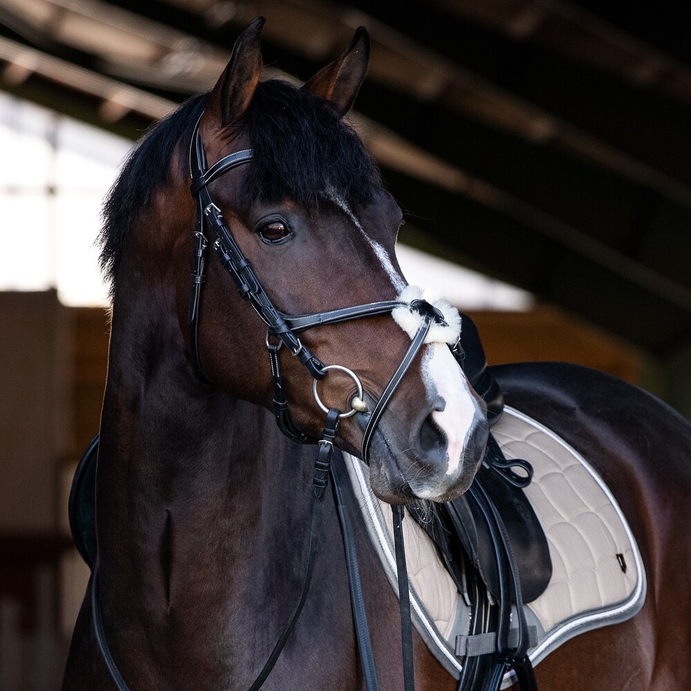 Grackle bridle  Harlow Fairfield®