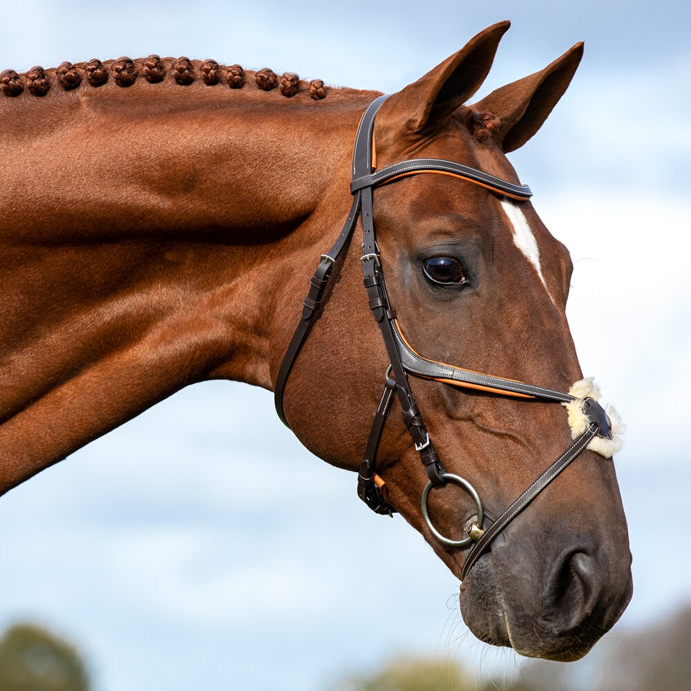 Grackle bridle  Harlow Fairfield®