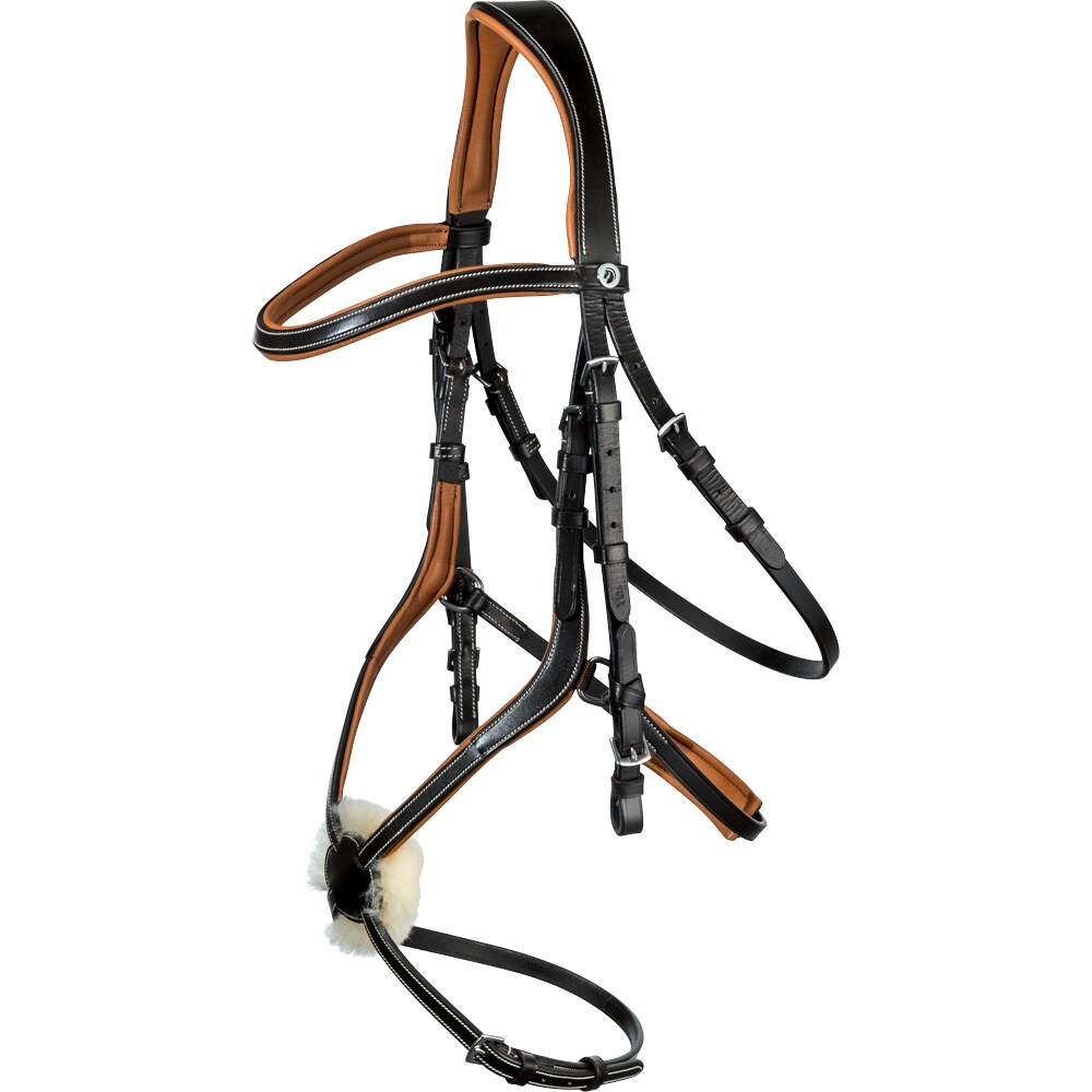 Grackle bridle  Harlow Fairfield®