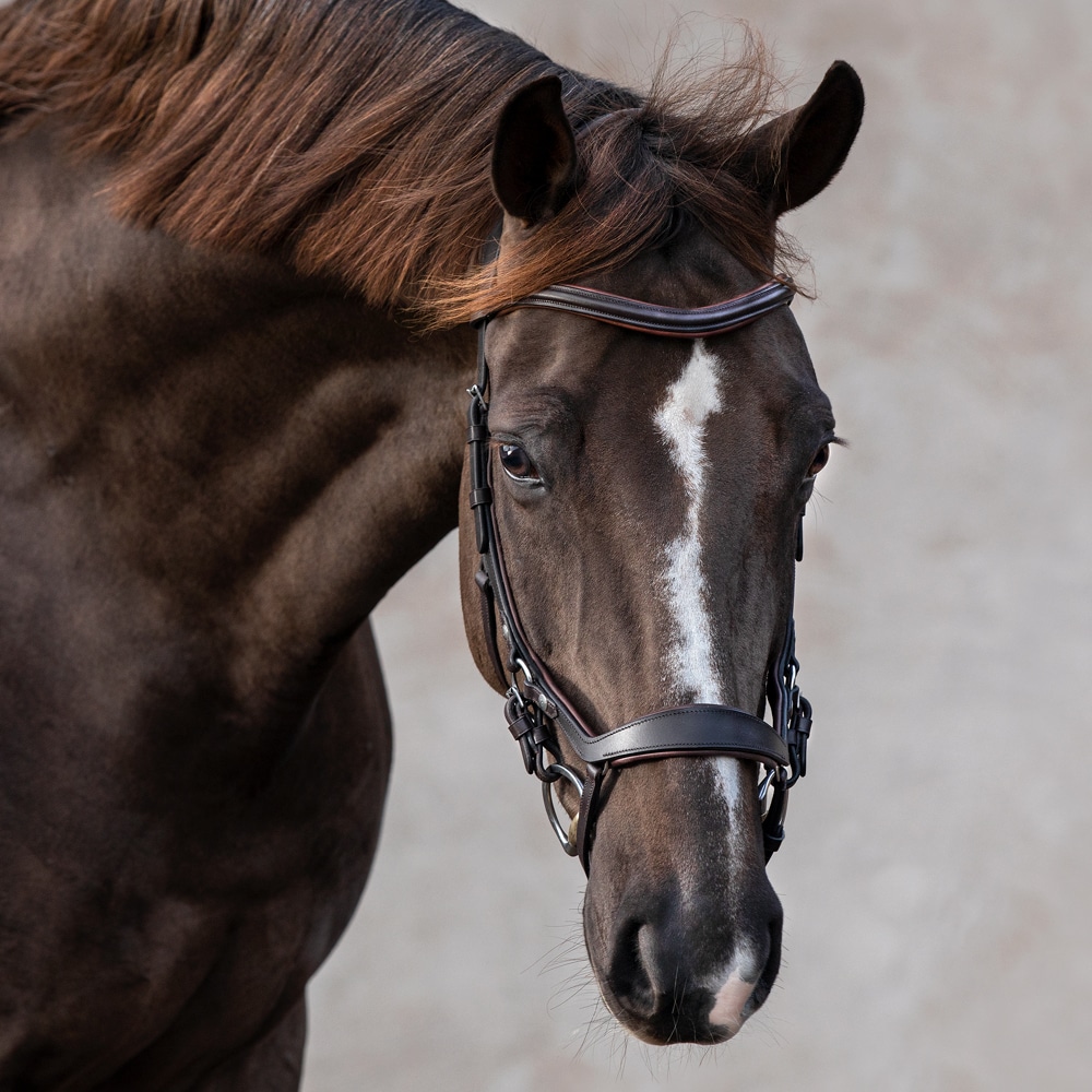 Bridles  Croston Fairfield®