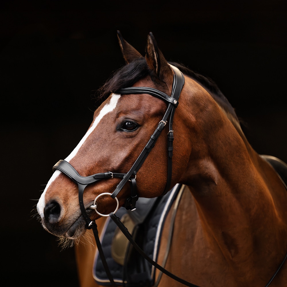 Bridles  Derby Fairfield®