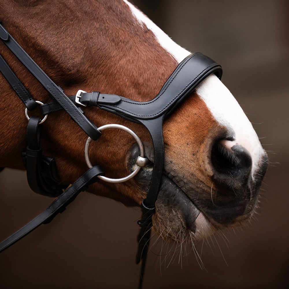 Bridles  Derby Fairfield®