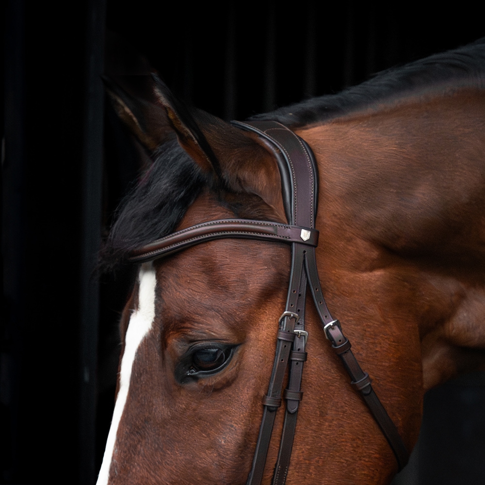 Bridles  Derby Fairfield®