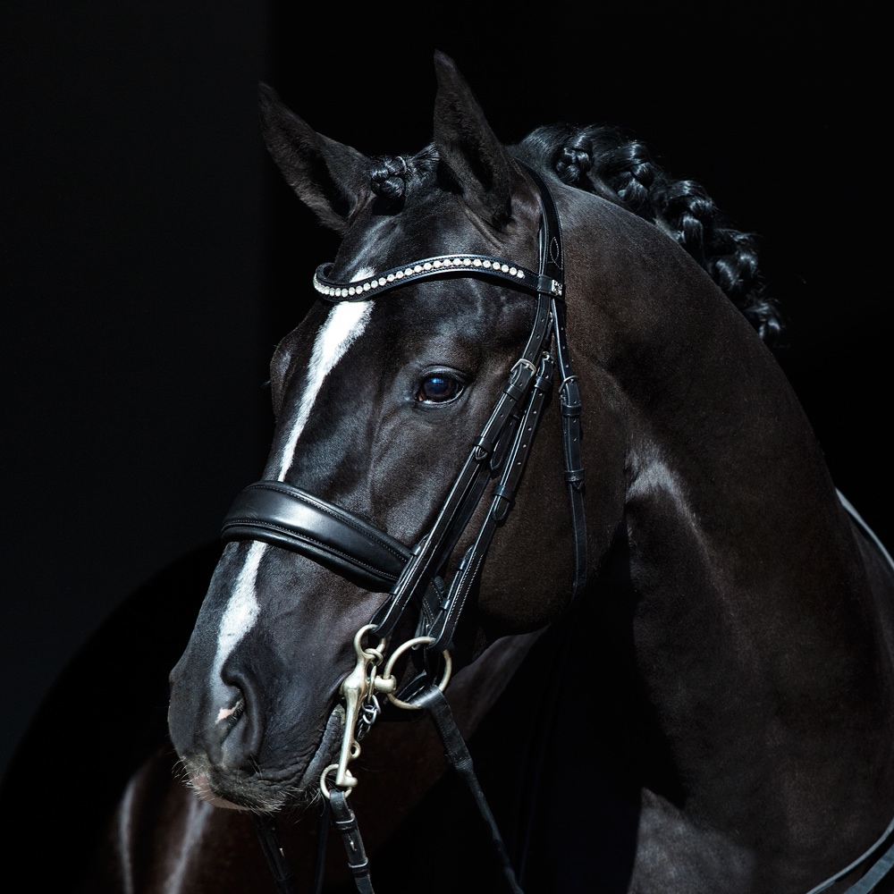 Cavesson bridle  Cavaria JH Collection®