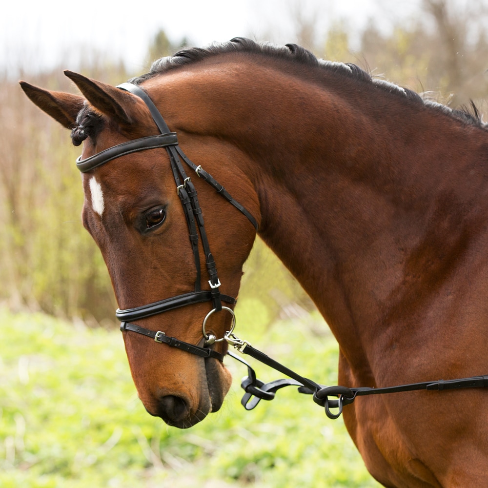 Side reins 2-pack  Fairfield®