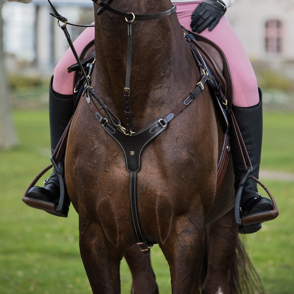 Breast plate  Vergato JH Collection®