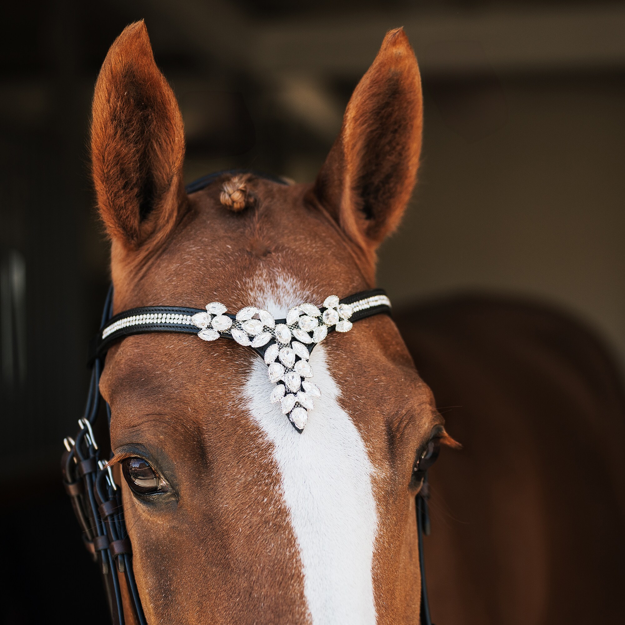 Browband  Courbette CRW®