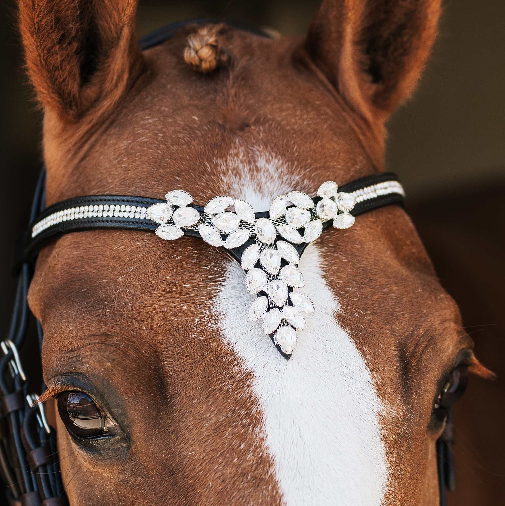 Browband  Courbette CRW®