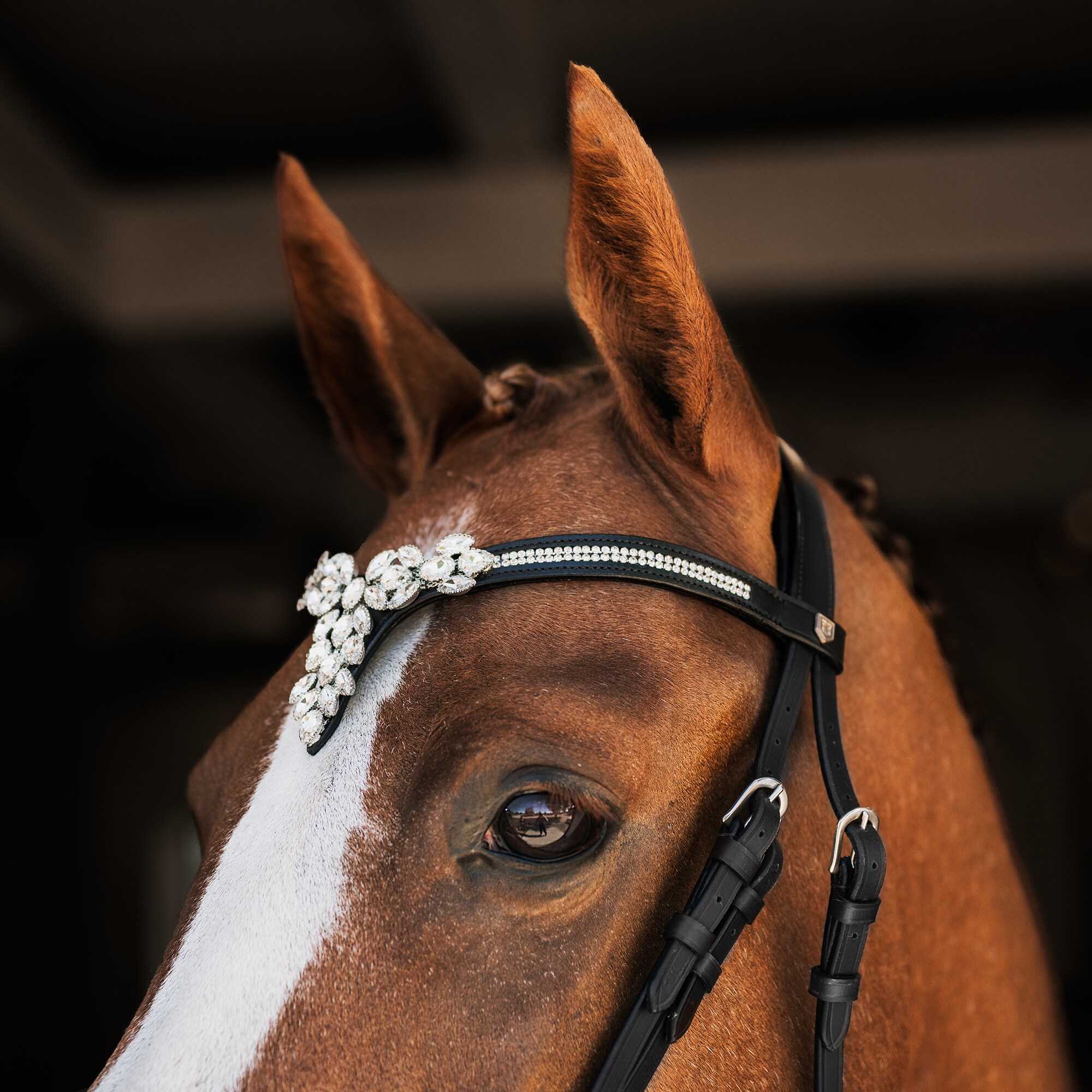 Browband  Courbette CRW®