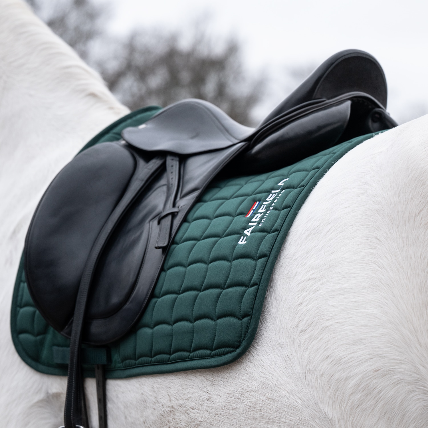 Dressage saddle blanket  Hickstead Fairfield®