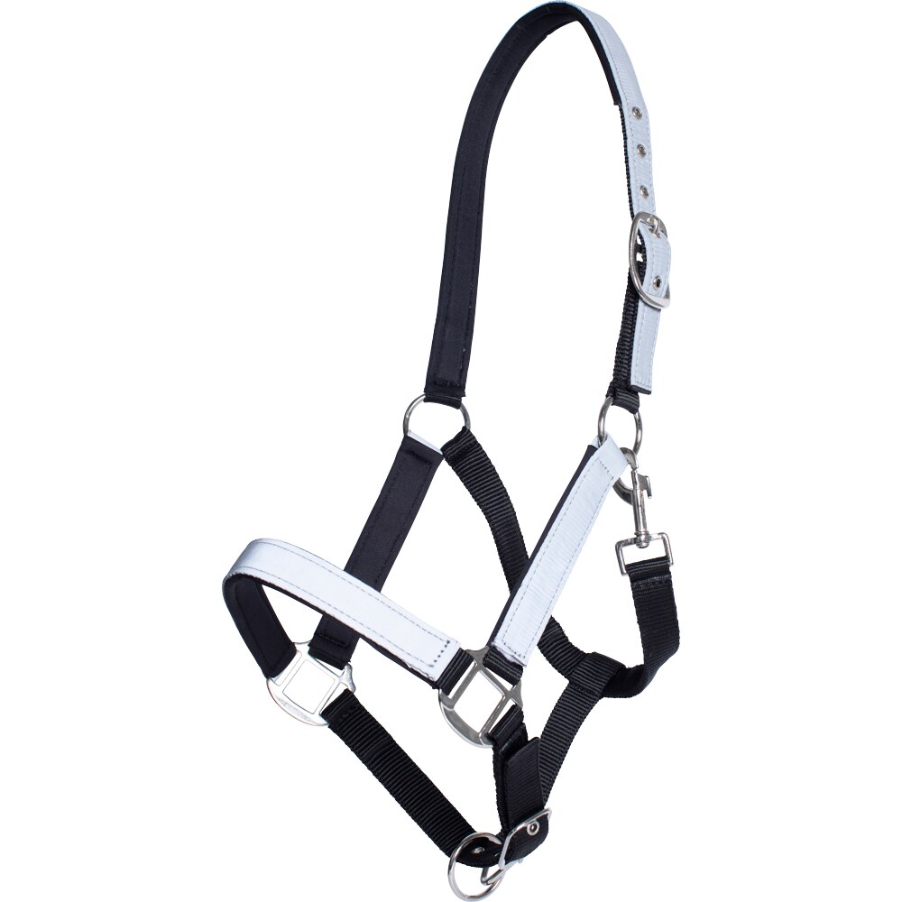 Reflective halter  Retina Fairfield®