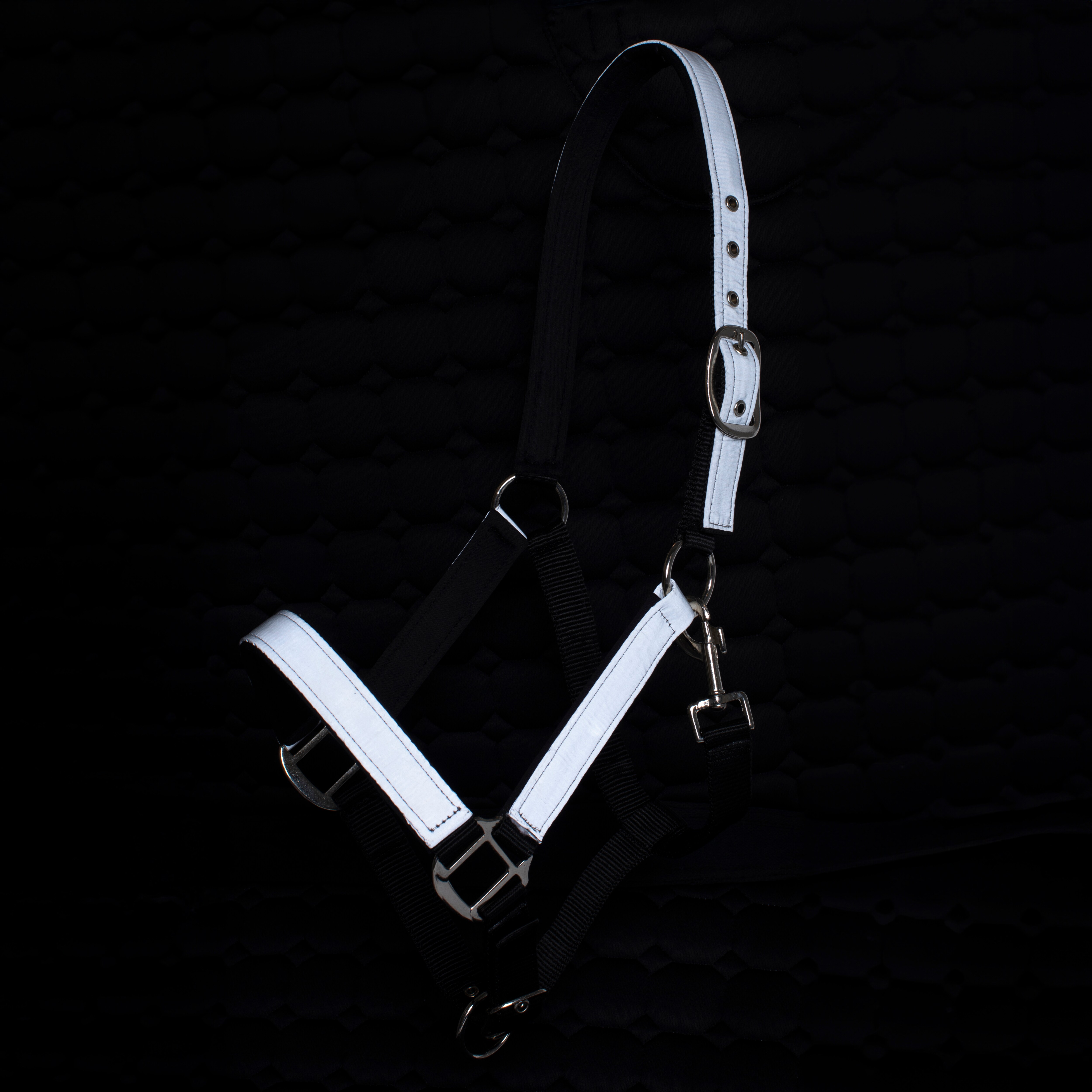 Reflective halter  Retina Fairfield®