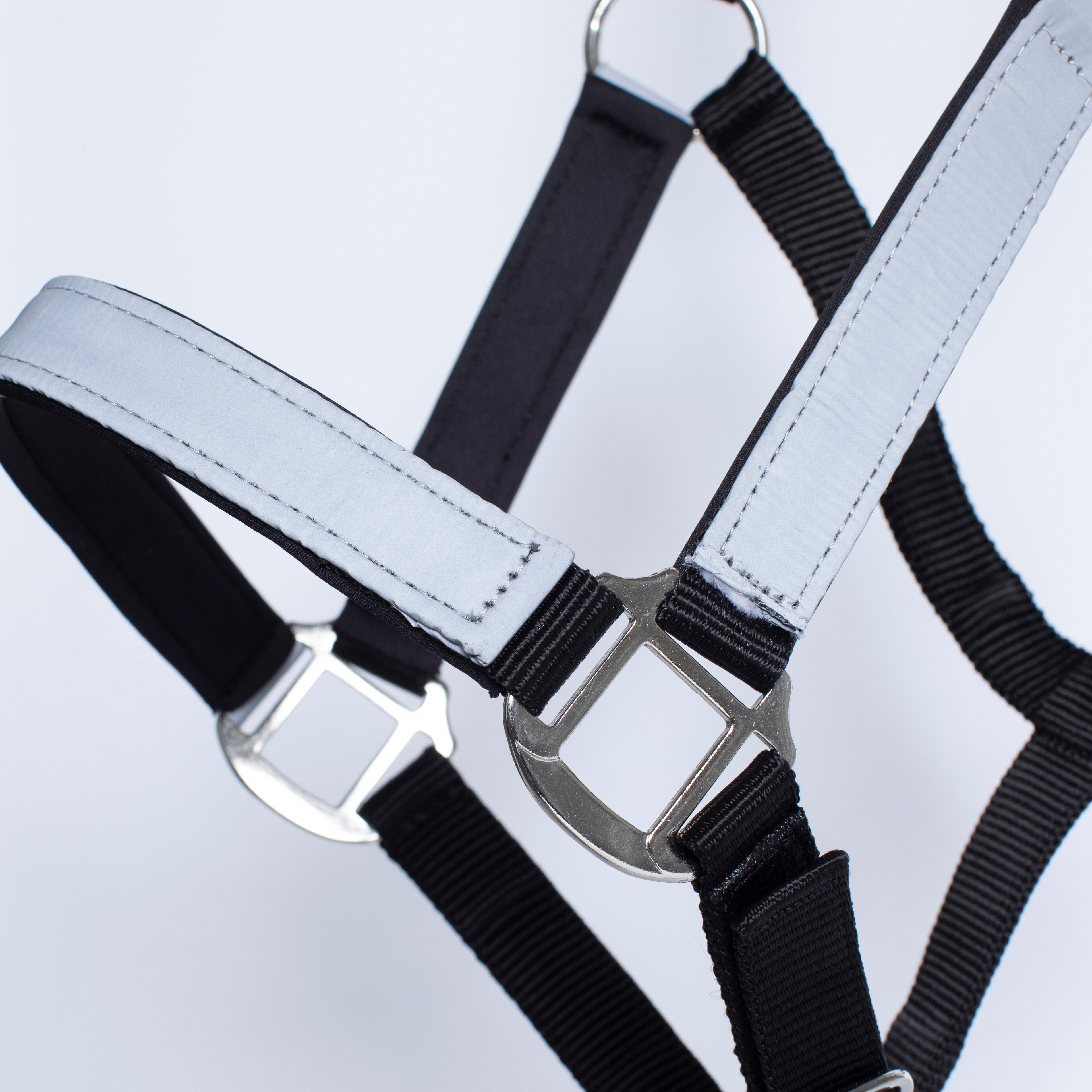 Reflective halter  Retina Fairfield®