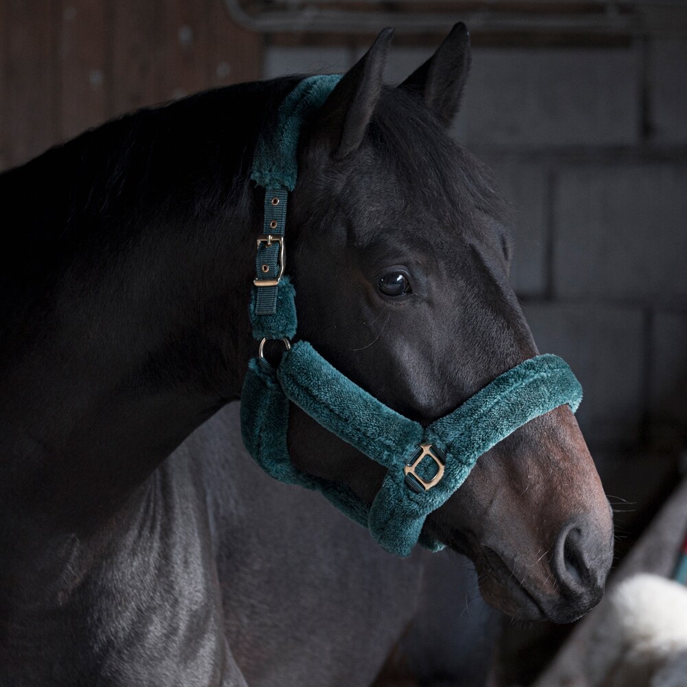 Halter  Furry Fairfield®