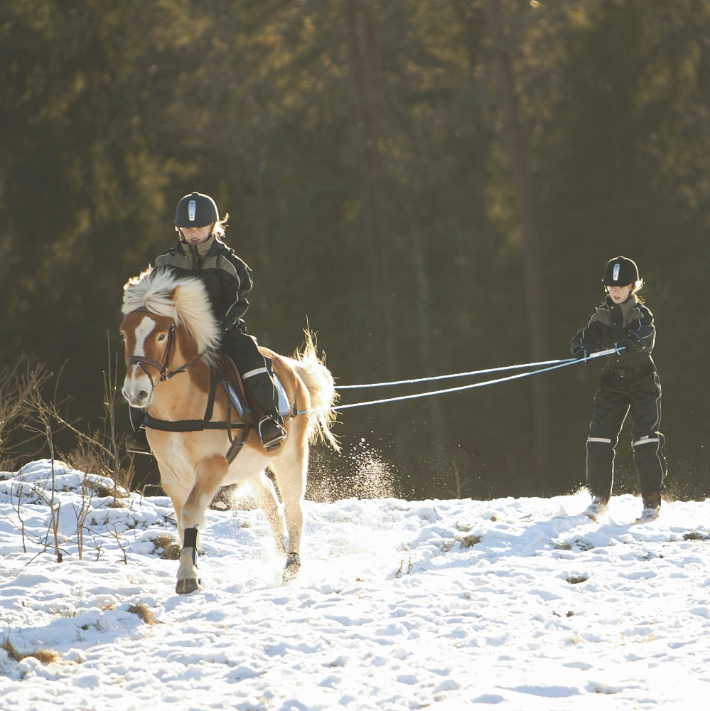 Skiing Harness Full  Fairfield®