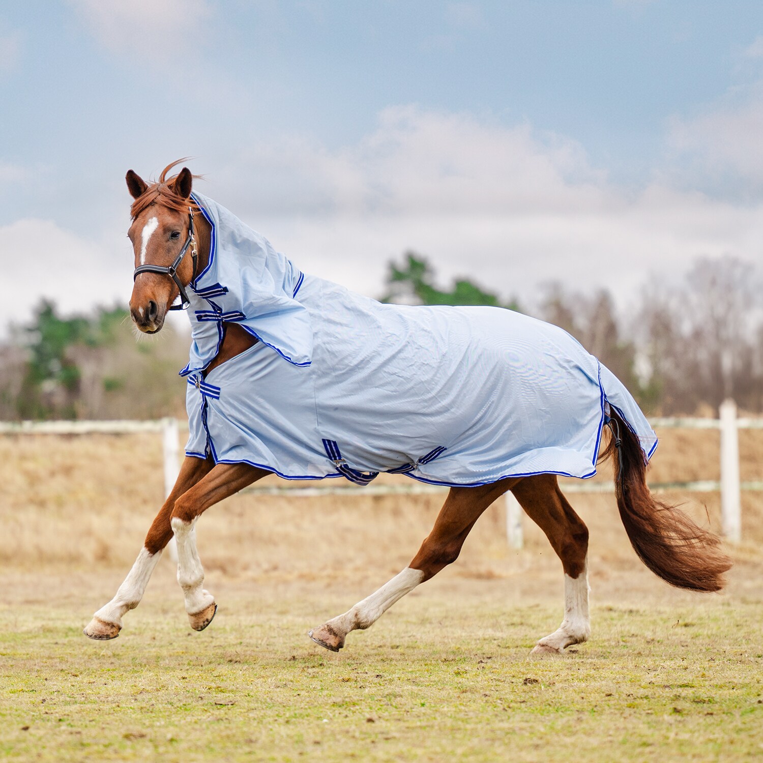 Fly rug  Zamzara CRW®