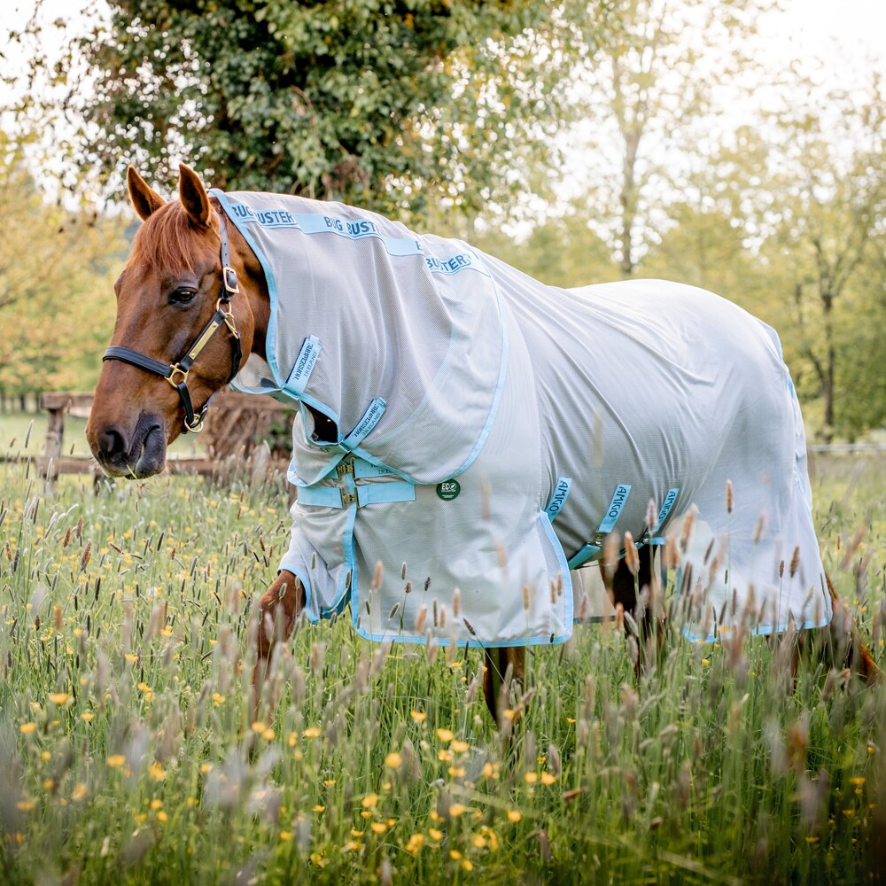 Fly rug  AmECO Bug Buster Horseware®