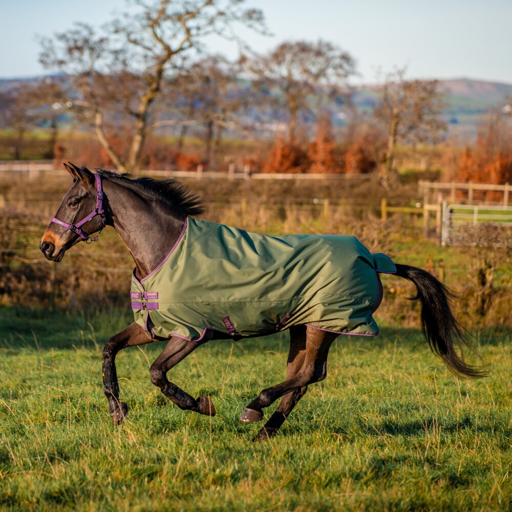 Rain rug  Amigo Hero Ripstop Lite Horseware®