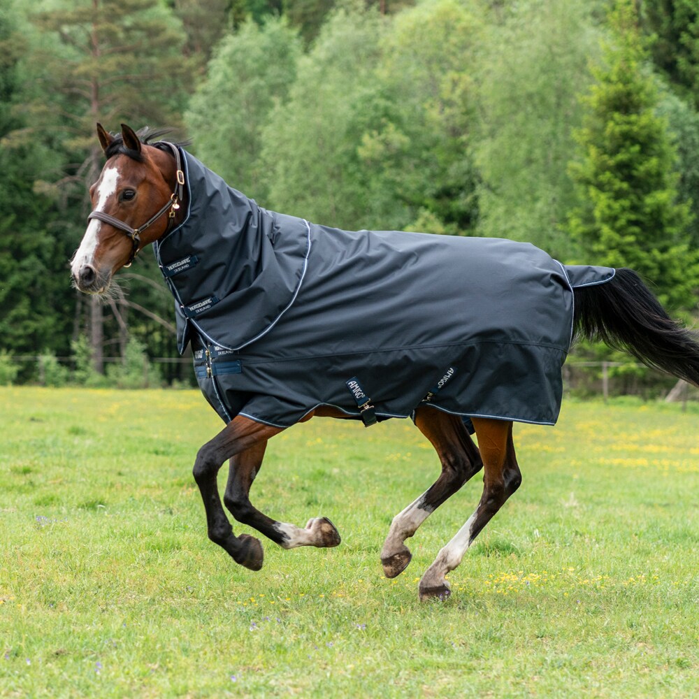 Turnout rug  Amigo Hero Ripstop Plus 200 Horseware®