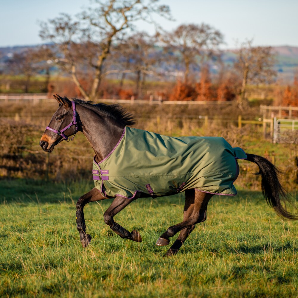 Turnout rug  Amigo Hero Ripstop Plus 200 Horseware®