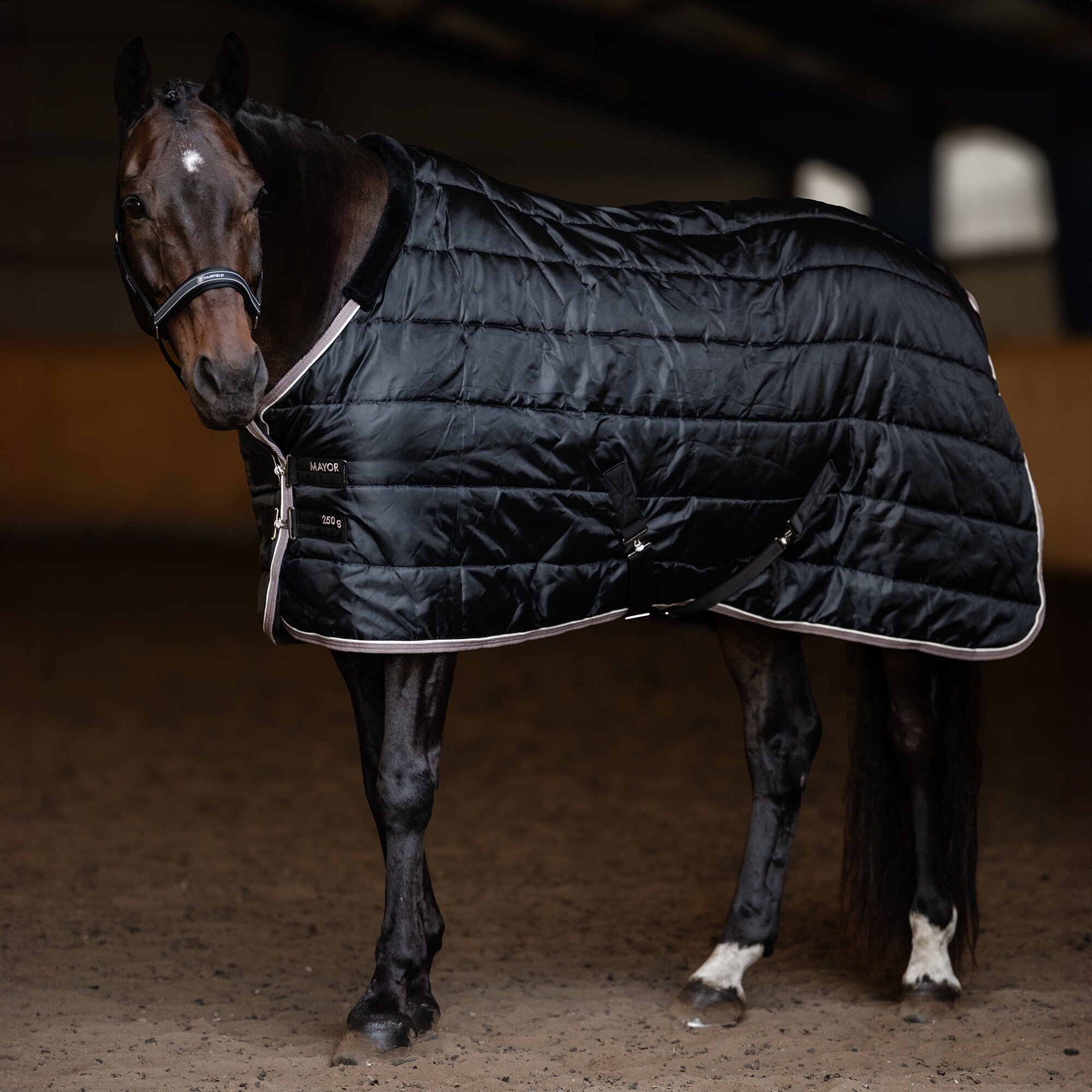 Stable rug  Mayor 250 Fairfield®