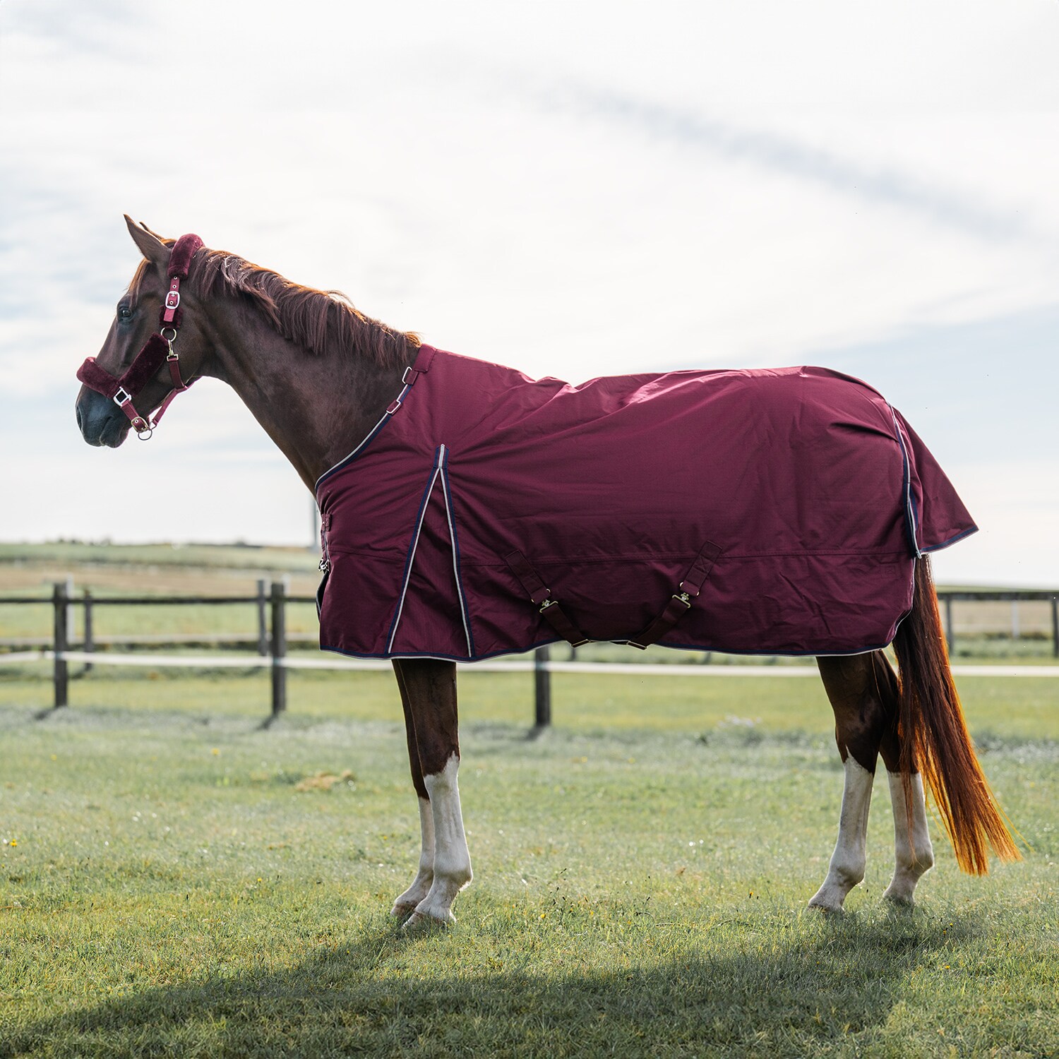 Turnout rug  Tornado 200 Fairfield®