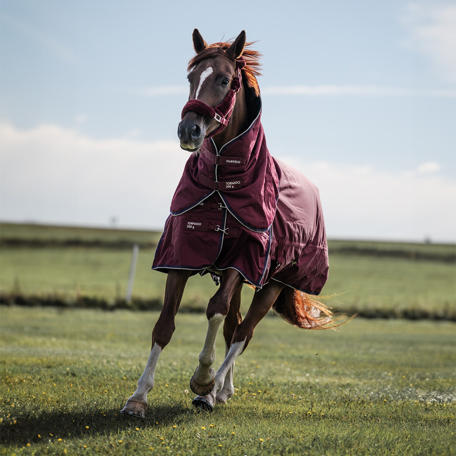 Turnout rug  Tornado 200 Fairfield®