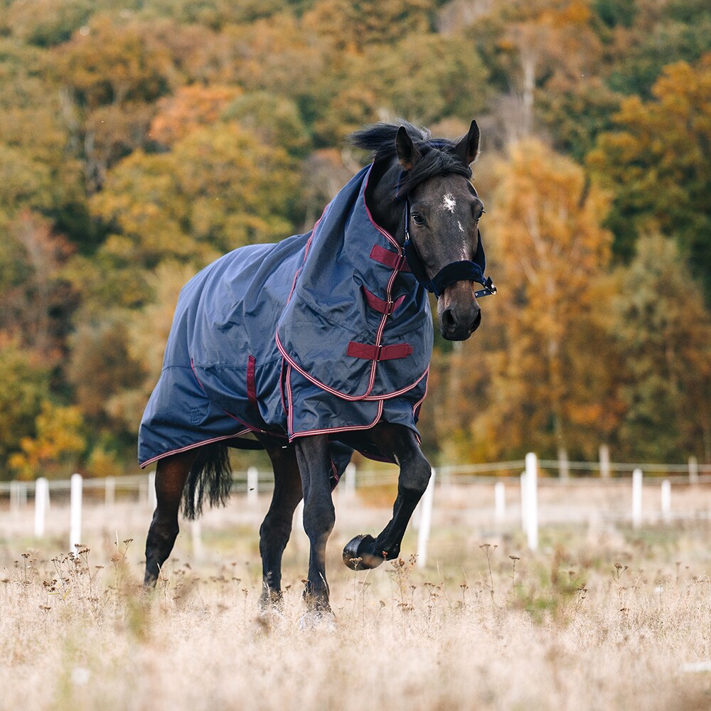 Turnout rug  Complete Set Fairfield®