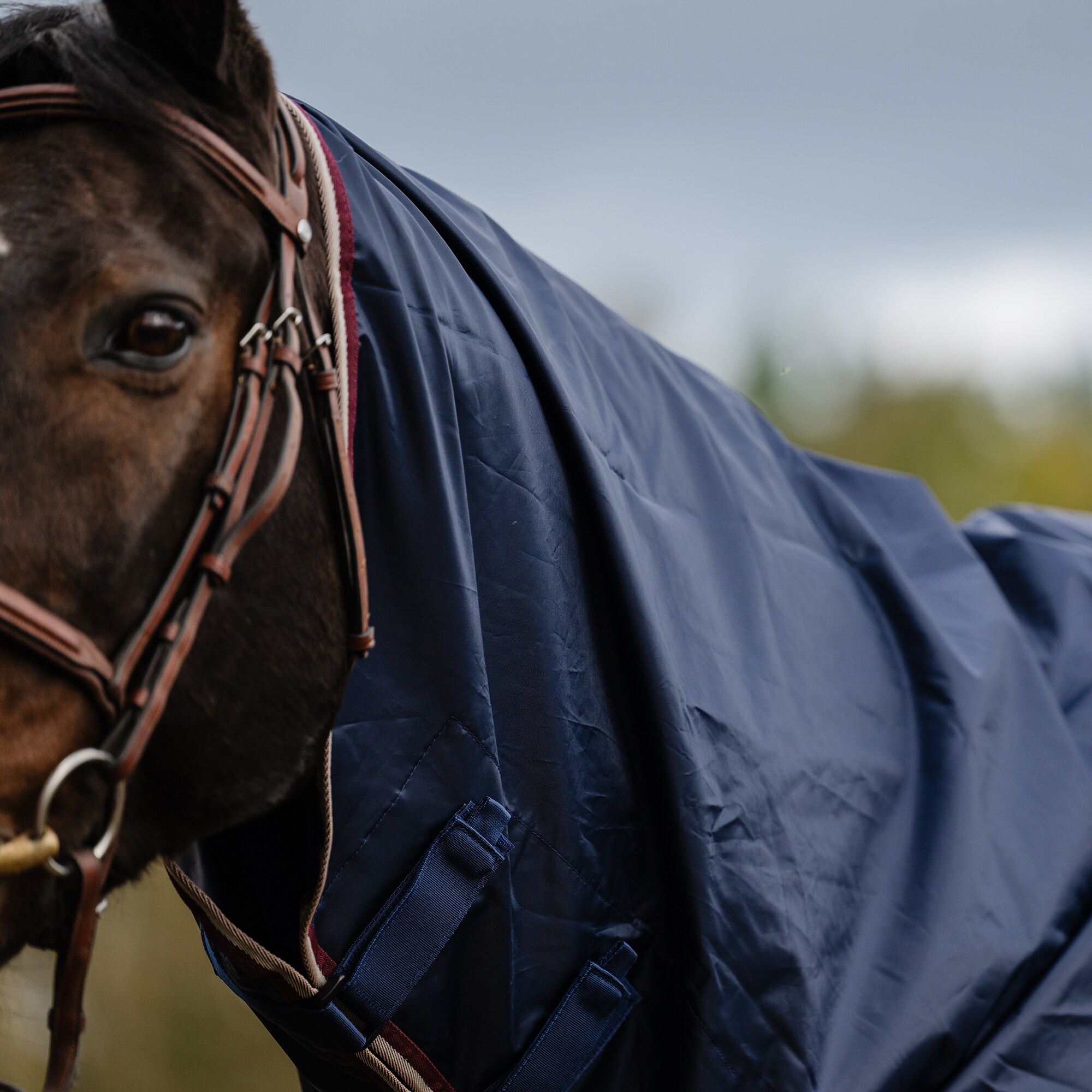 Riding rug  Athlone Fairfield®