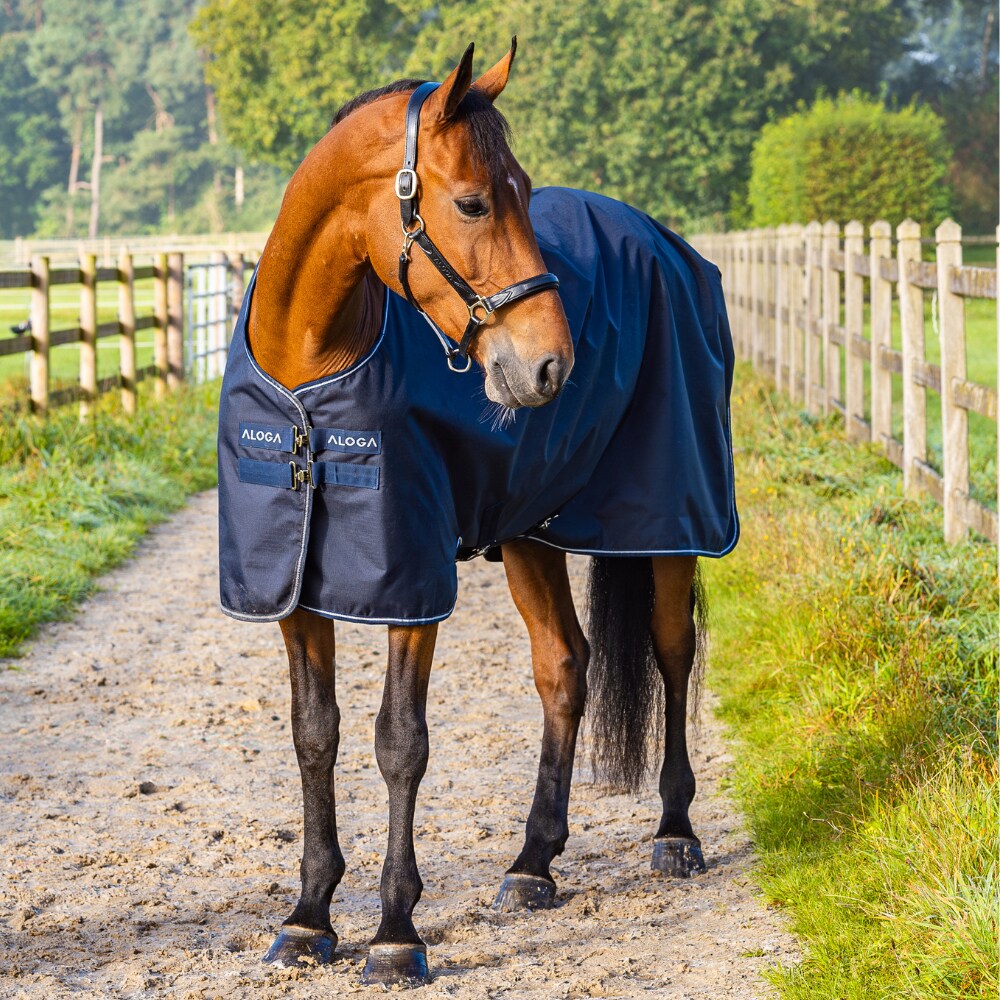 Rain rug  Turnout 0g Aloga Equestrian