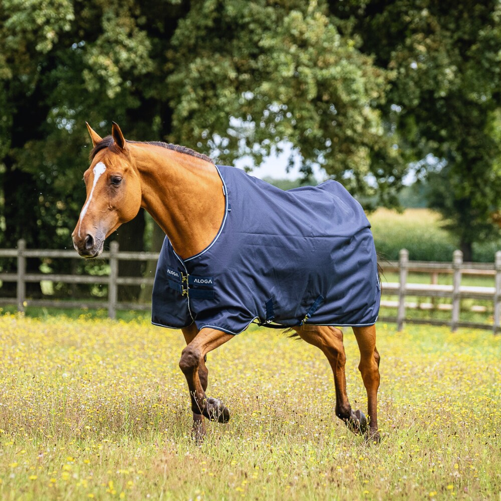 Rain rug  Turnout 0g Aloga Equestrian