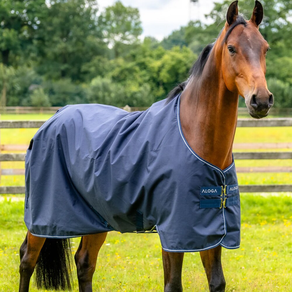 Rain rug  Turnout 0g Aloga Equestrian