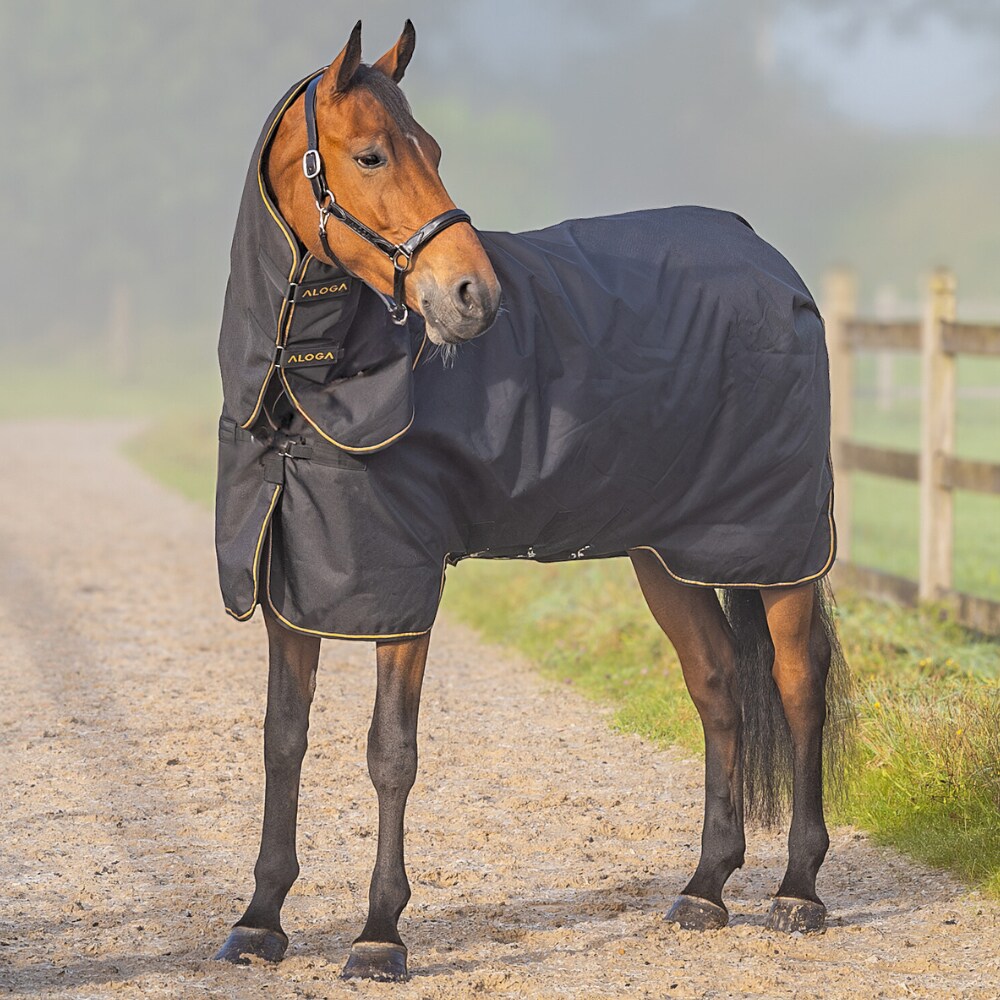 Turnout rug  Equestrian Pro Turnout Aloga Equestrian