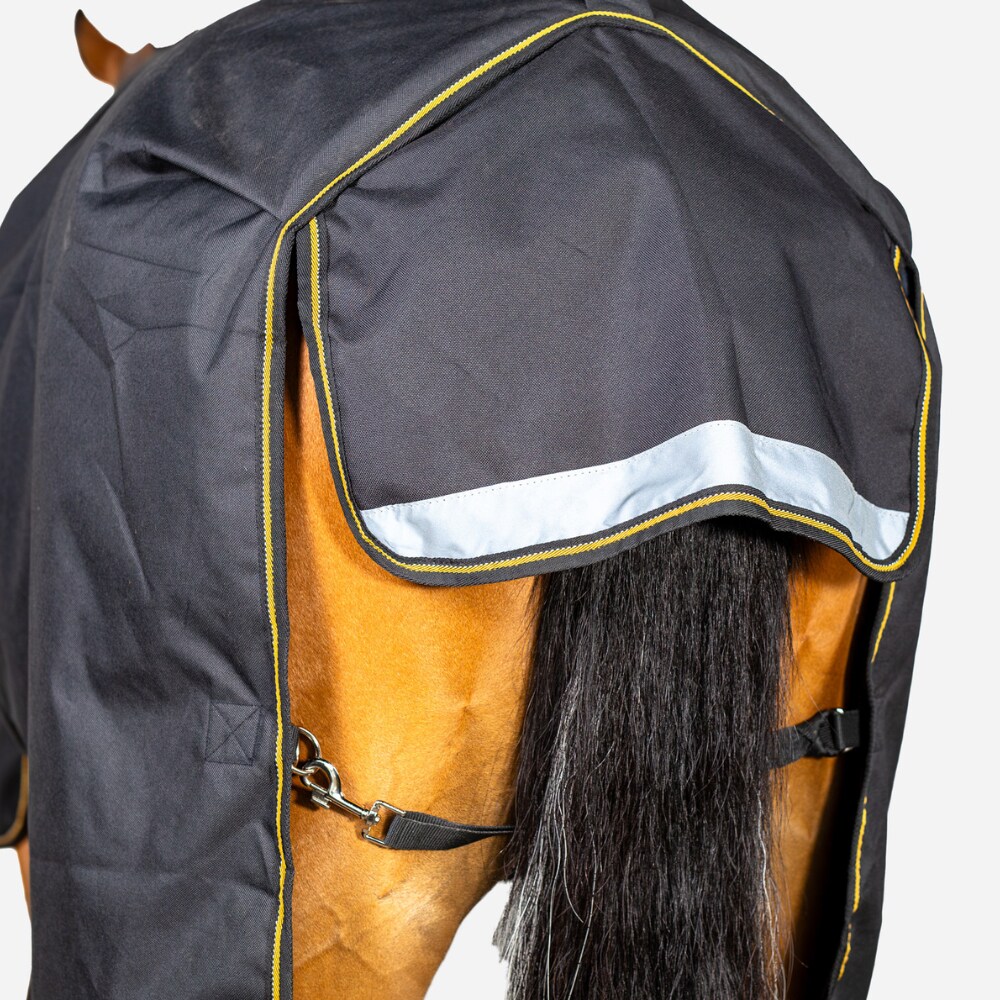 Turnout rug  Equestrian Pro Turnout Aloga Equestrian