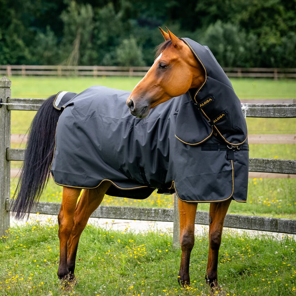 Turnout rug  Equestrian Pro Turnout Aloga Equestrian